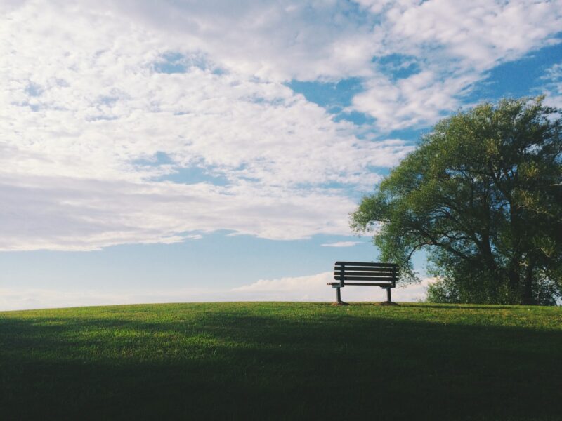 Photo by Noah Silliman
