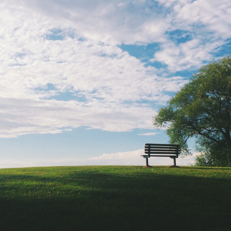 Photo by Noah Silliman